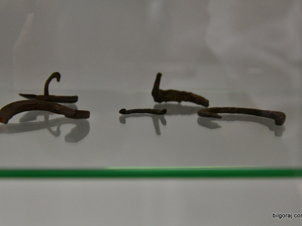 Skarby Tarnogrodu - grodu u bram Roztocza (FOTO)