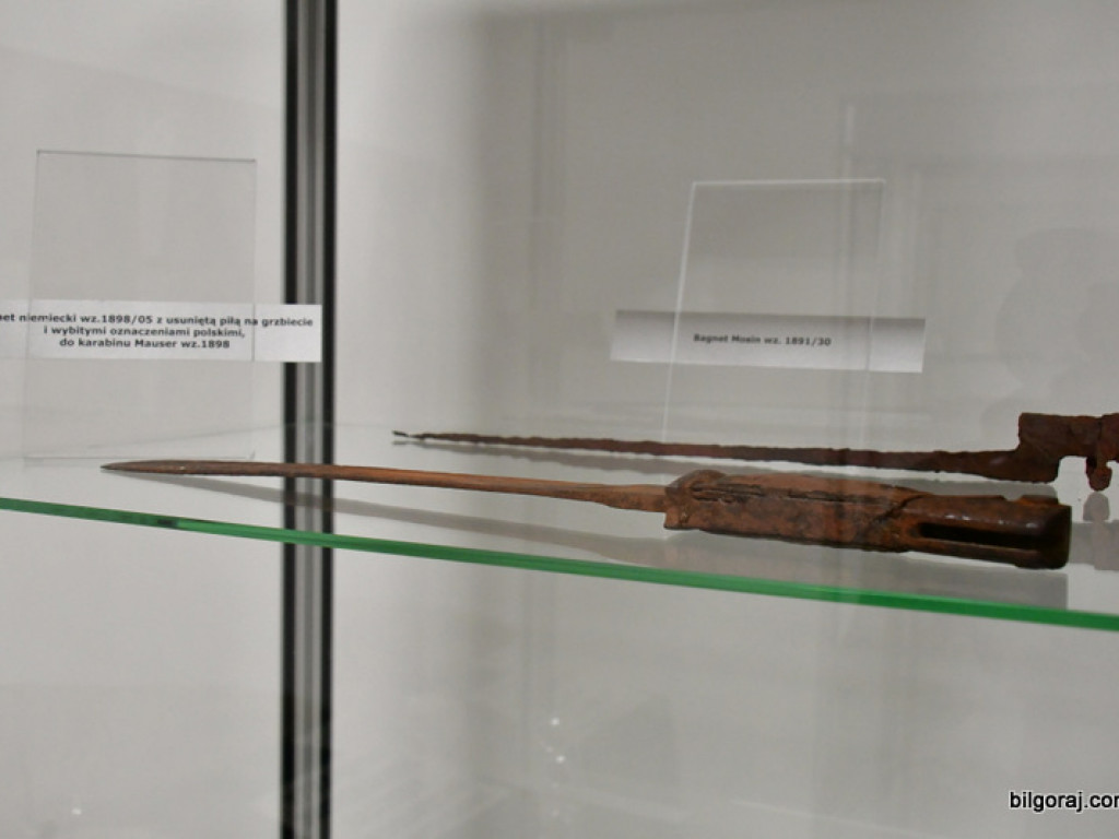 Skarby Tarnogrodu - grodu u bram Roztocza (FOTO)