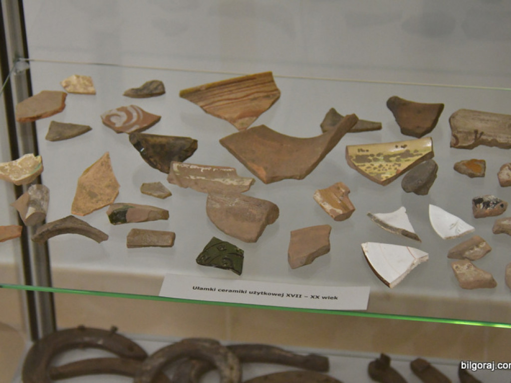 Skarby Tarnogrodu - grodu u bram Roztocza (FOTO)