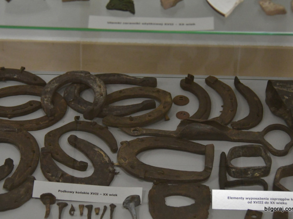 Skarby Tarnogrodu - grodu u bram Roztocza (FOTO)