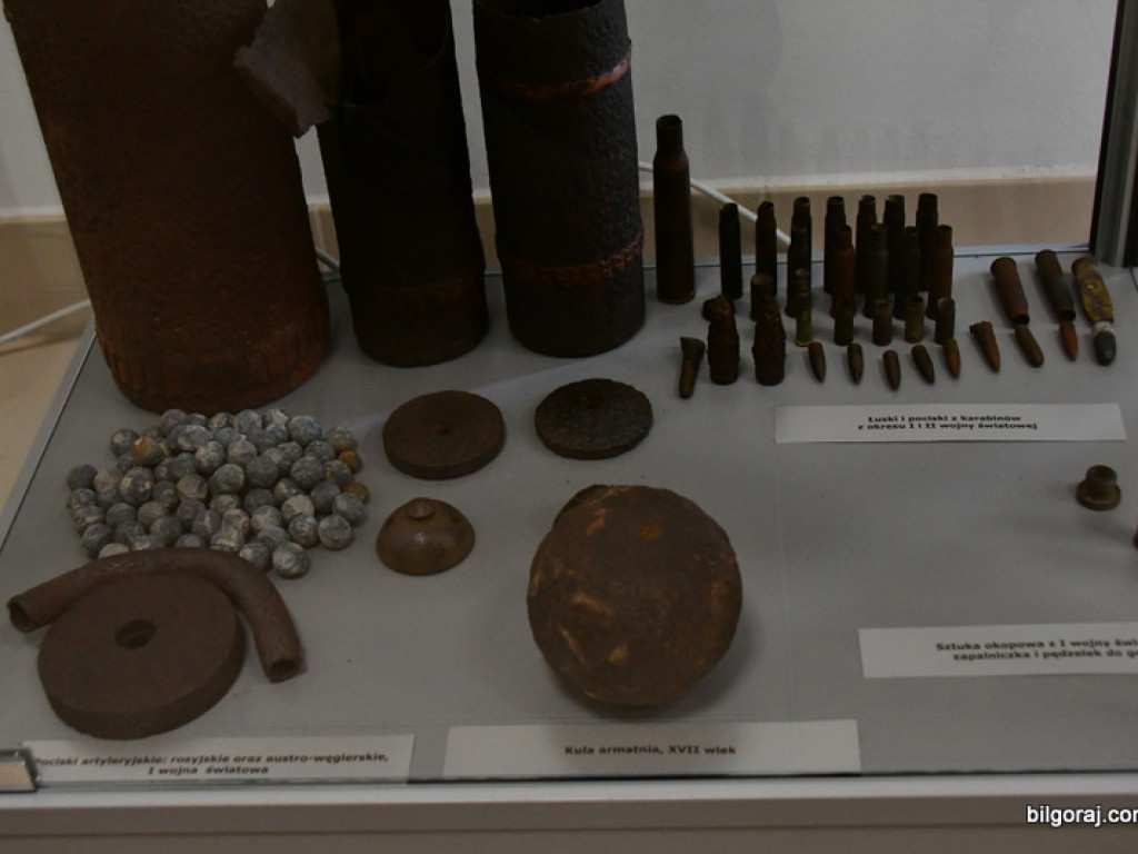 Skarby Tarnogrodu - grodu u bram Roztocza (FOTO)