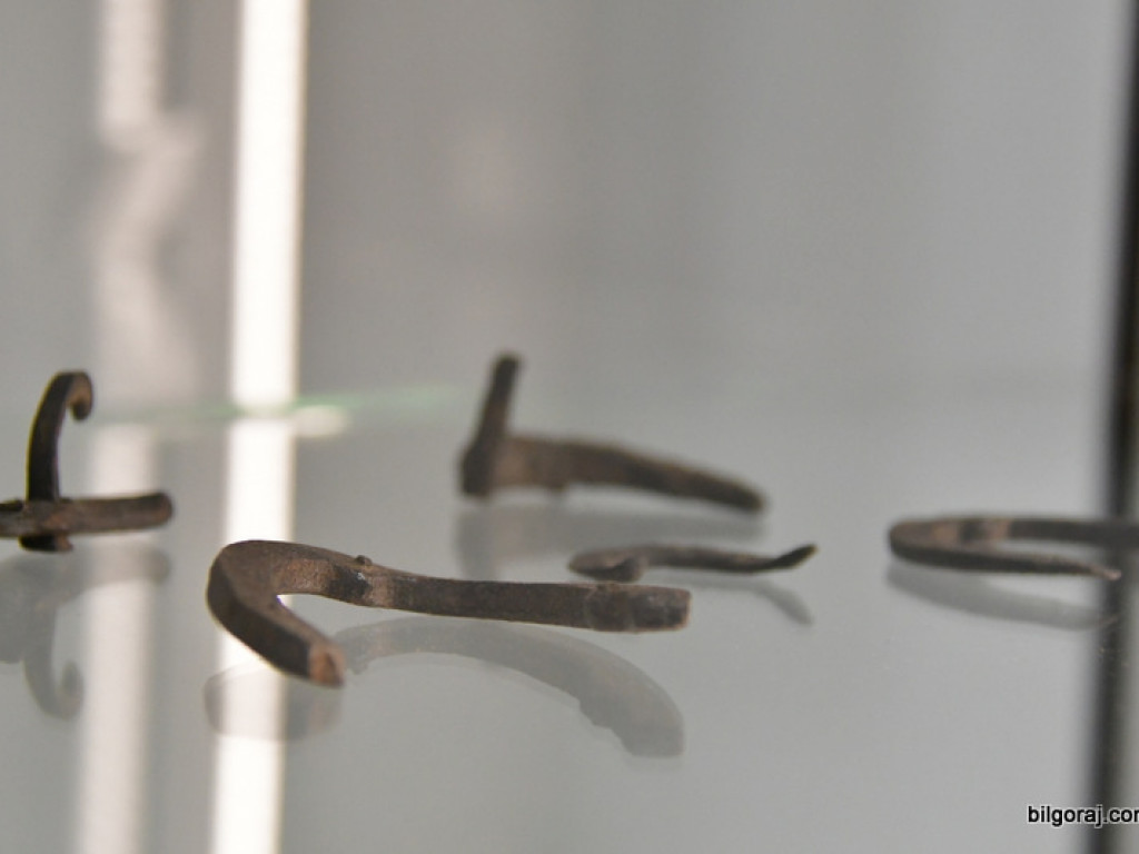 Skarby Tarnogrodu - grodu u bram Roztocza (FOTO)