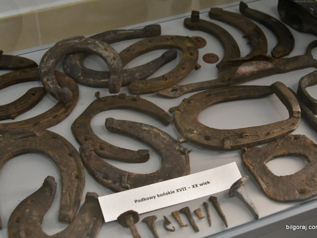 Skarby Tarnogrodu - grodu u bram Roztocza (FOTO)