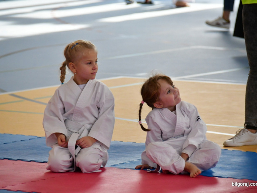XXX Mikołajkowy Turniej Dzieci w Karate Tradycyjnym (FOTO)