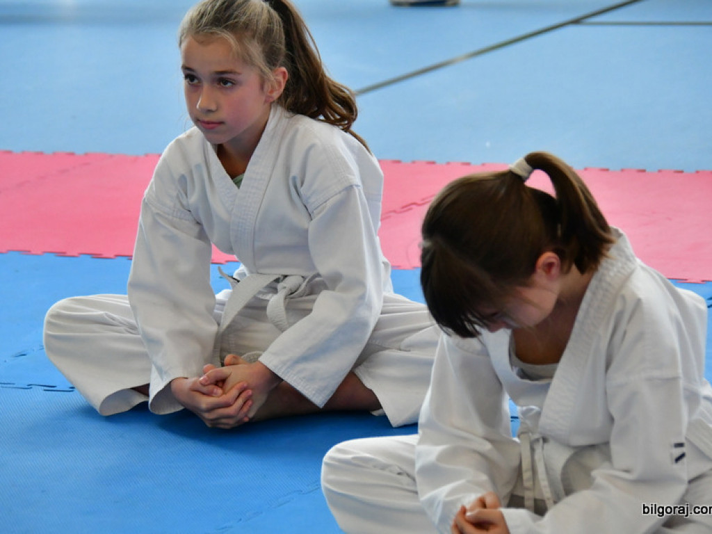 XXX Mikołajkowy Turniej Dzieci w Karate Tradycyjnym (FOTO)