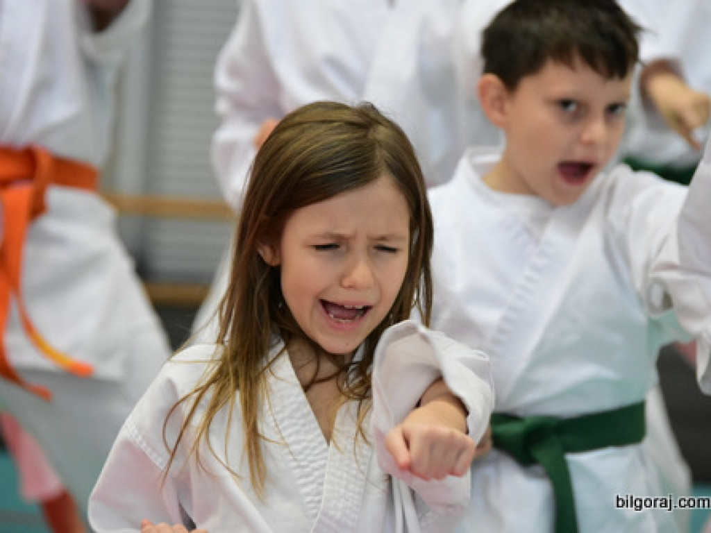 V Pucharu Świętego Mikołaja w Karate Tradycyjnym (FOTO)