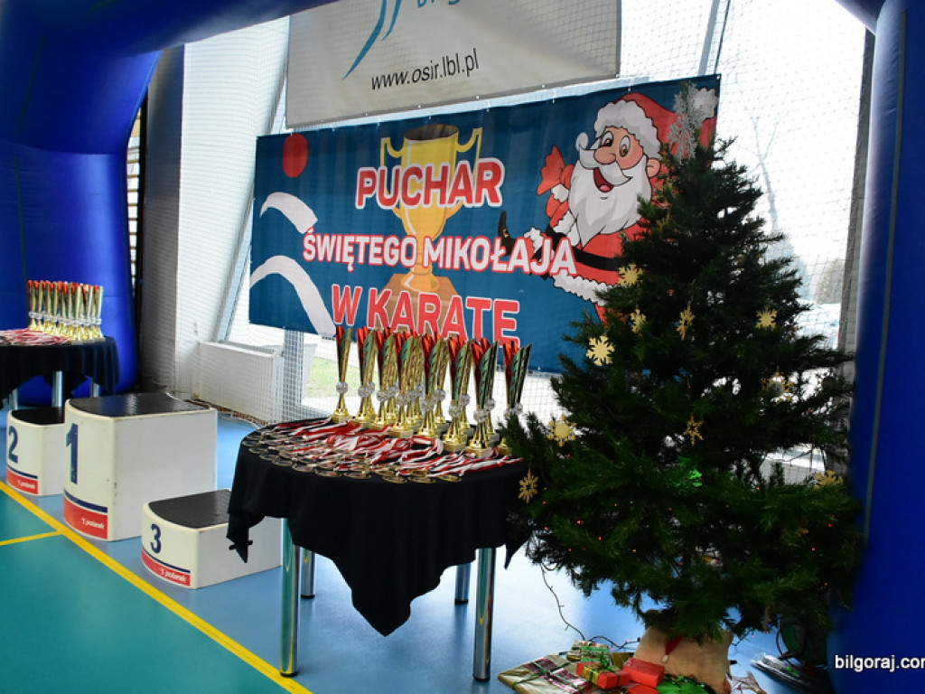 V Pucharu Świętego Mikołaja w Karate Tradycyjnym (FOTO)