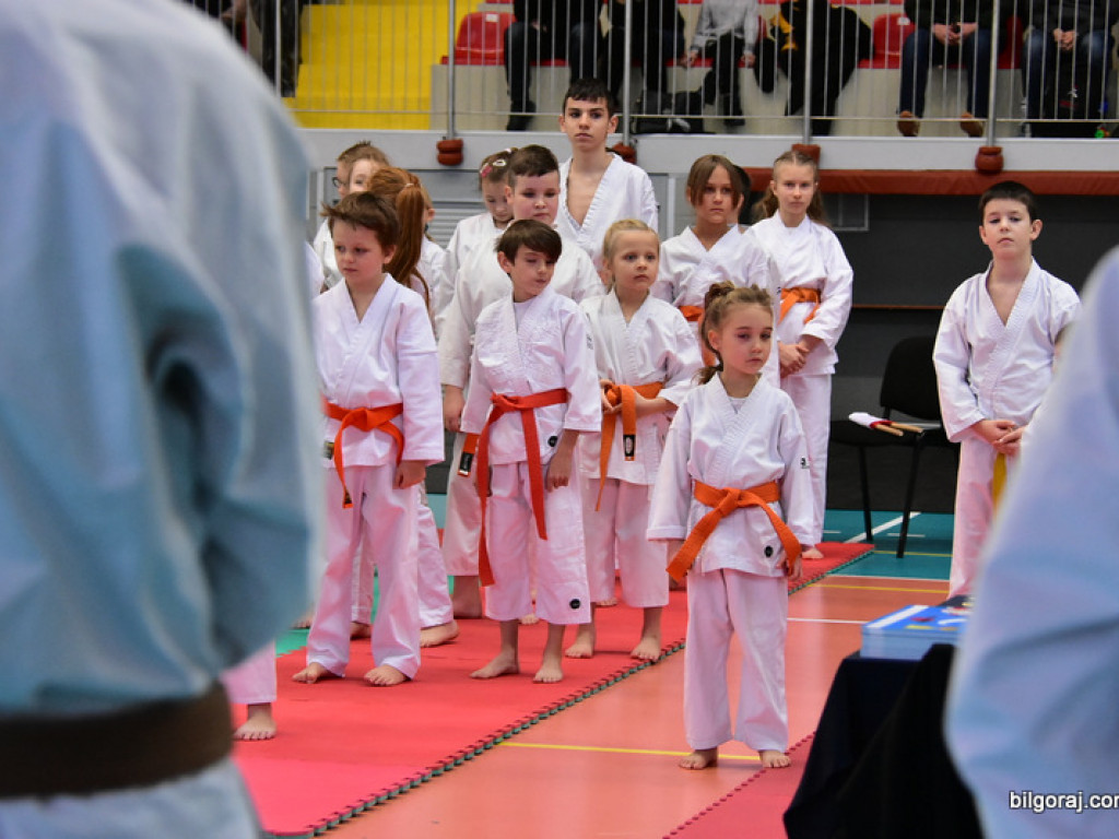 V Pucharu Świętego Mikołaja w Karate Tradycyjnym (FOTO)