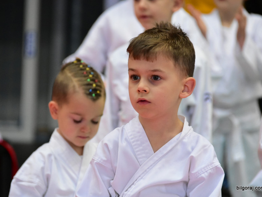 V Pucharu Świętego Mikołaja w Karate Tradycyjnym (FOTO)