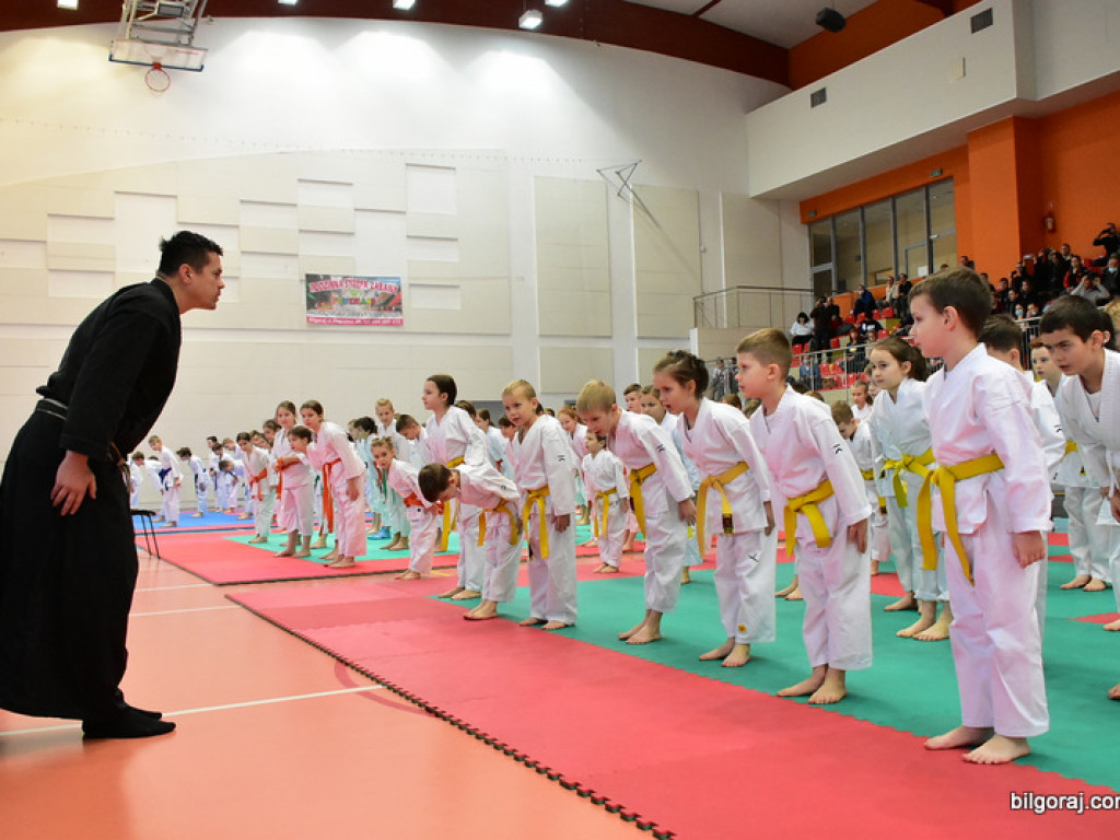 V Pucharu Świętego Mikołaja w Karate Tradycyjnym (FOTO)