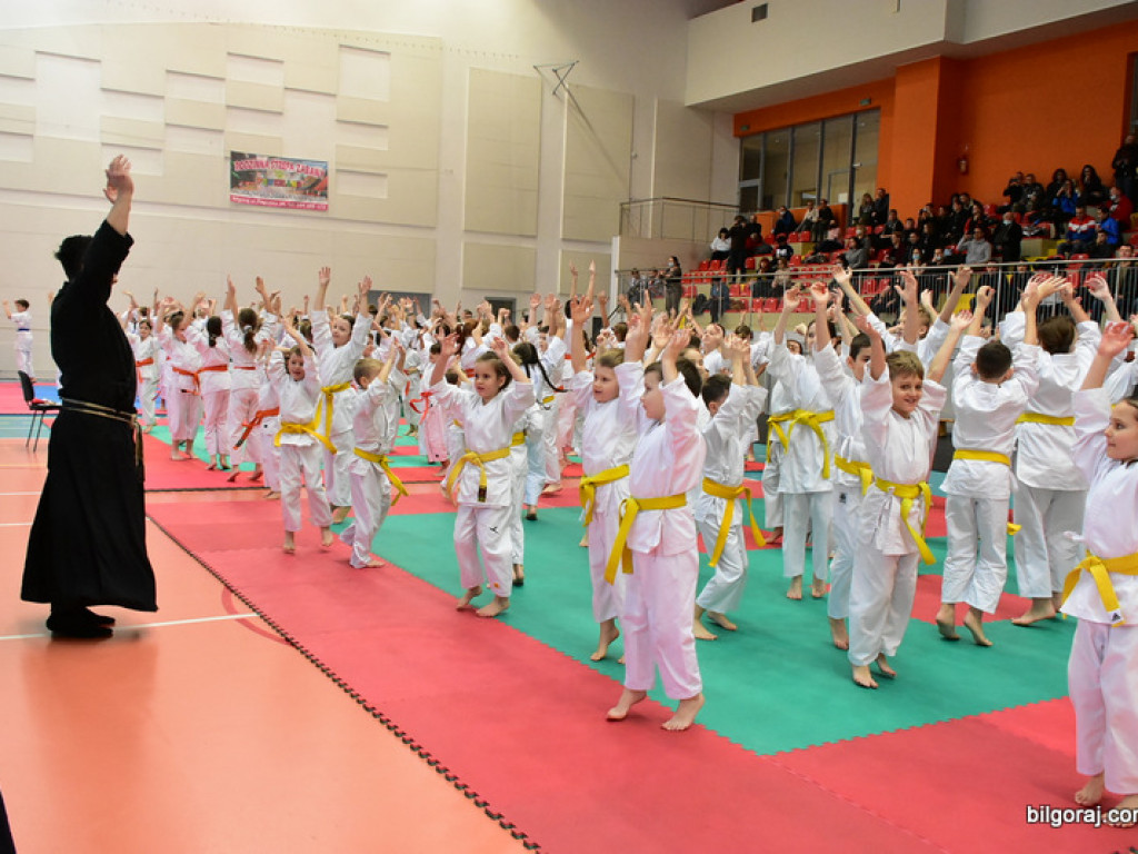 V Pucharu Świętego Mikołaja w Karate Tradycyjnym (FOTO)
