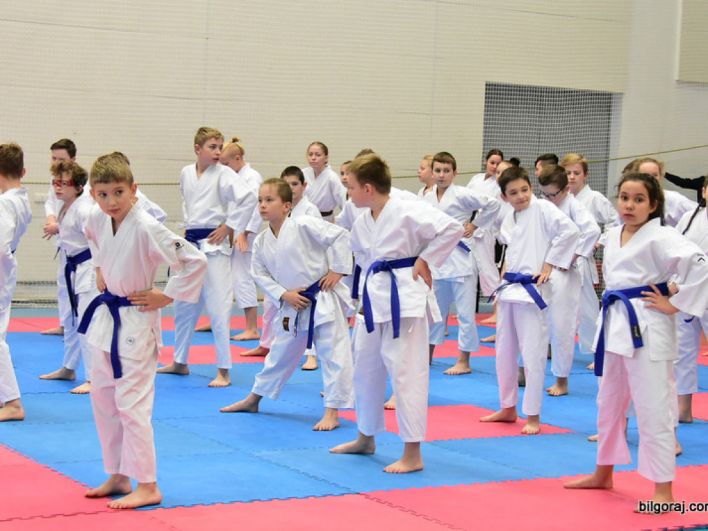 V Pucharu Świętego Mikołaja w Karate Tradycyjnym (FOTO)