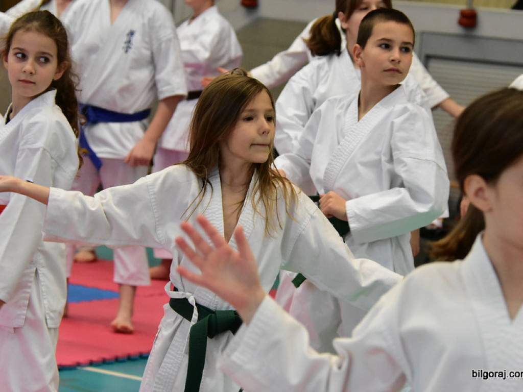 V Pucharu Świętego Mikołaja w Karate Tradycyjnym (FOTO)