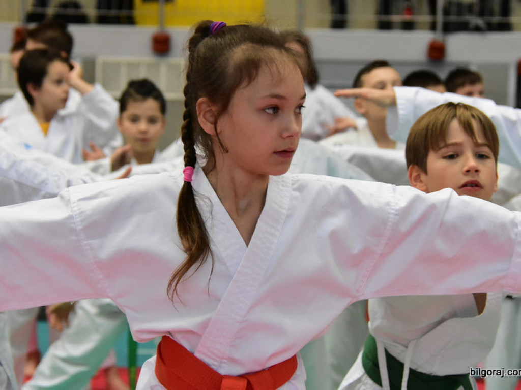 V Pucharu Świętego Mikołaja w Karate Tradycyjnym (FOTO)