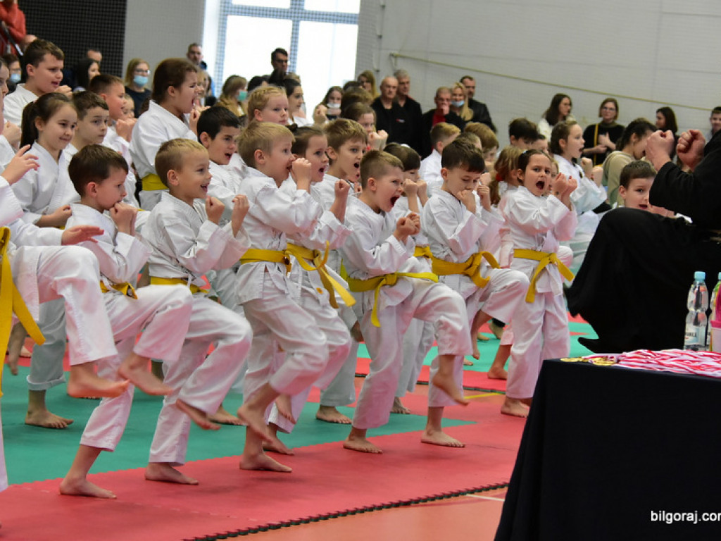 V Pucharu Świętego Mikołaja w Karate Tradycyjnym (FOTO)