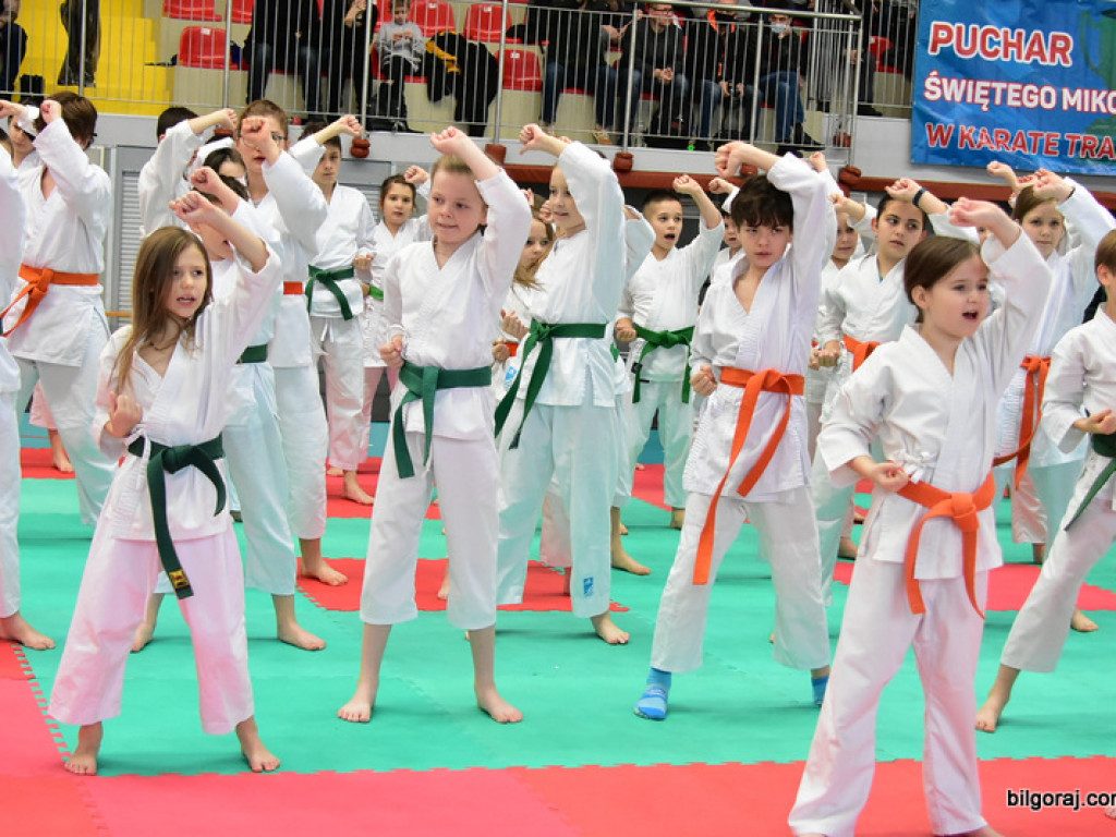 V Pucharu Świętego Mikołaja w Karate Tradycyjnym (FOTO)