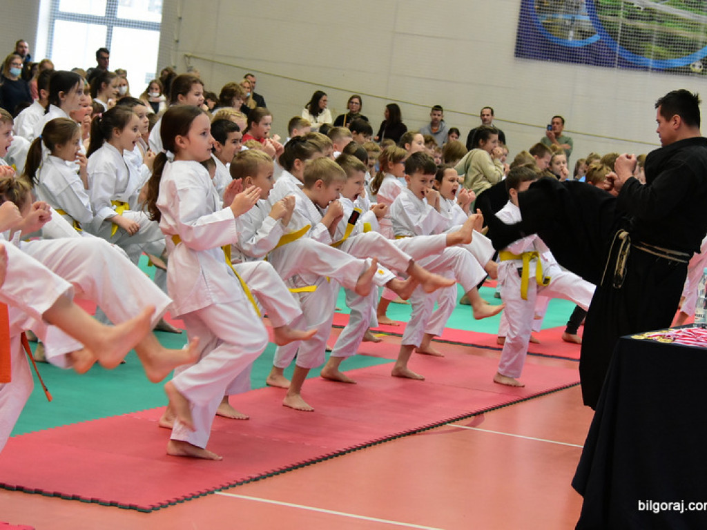 V Pucharu Świętego Mikołaja w Karate Tradycyjnym (FOTO)