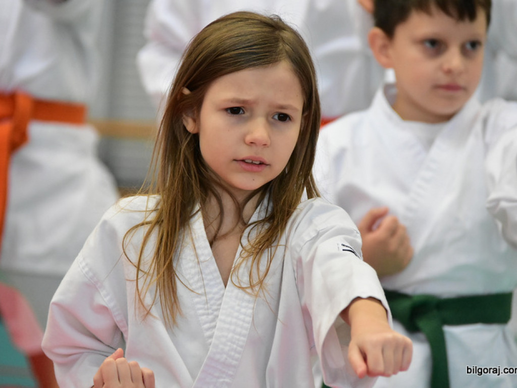 V Pucharu Świętego Mikołaja w Karate Tradycyjnym (FOTO)