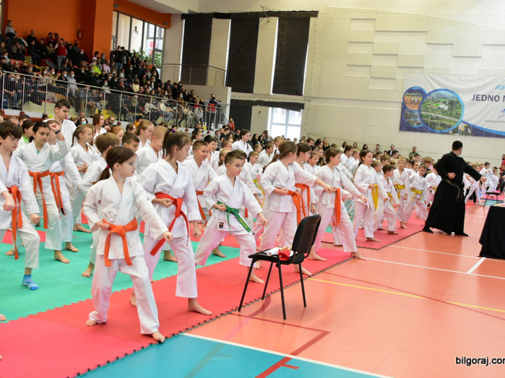 V Pucharu Świętego Mikołaja w Karate Tradycyjnym (FOTO)