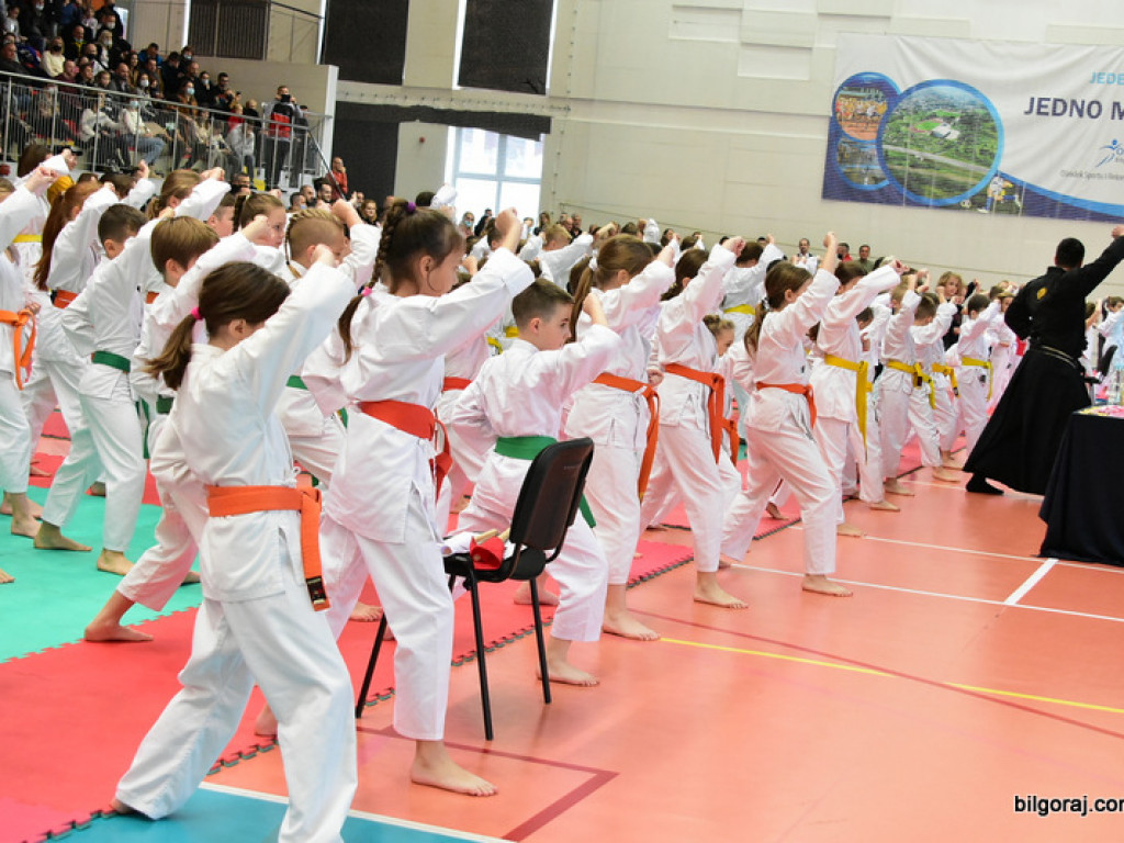 V Pucharu Świętego Mikołaja w Karate Tradycyjnym (FOTO)