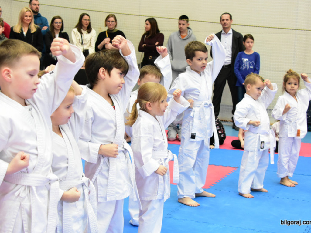 V Pucharu Świętego Mikołaja w Karate Tradycyjnym (FOTO)