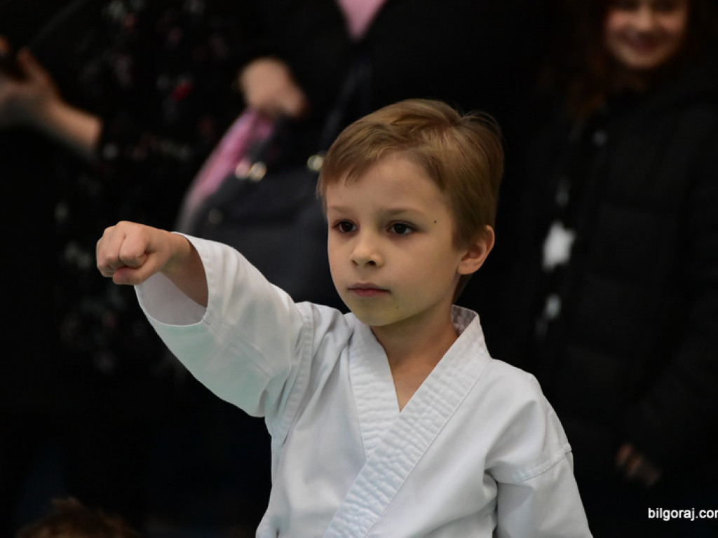 V Pucharu Świętego Mikołaja w Karate Tradycyjnym (FOTO)