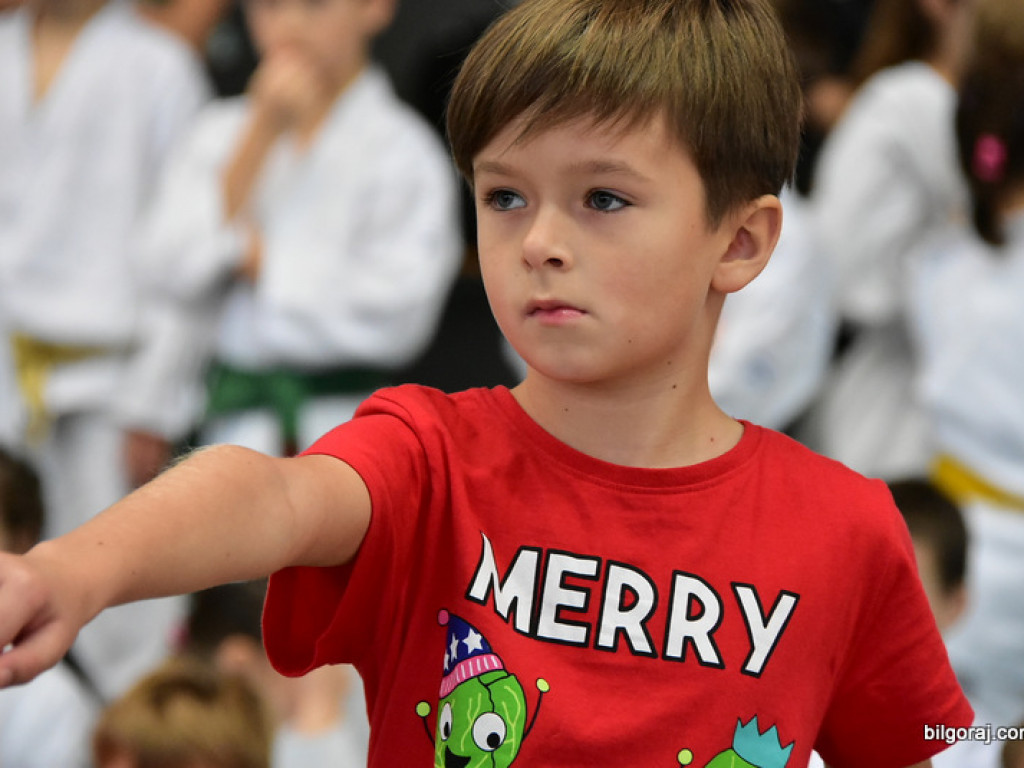 V Pucharu Świętego Mikołaja w Karate Tradycyjnym (FOTO)