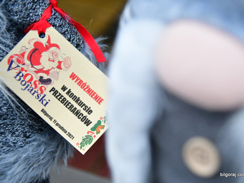 Rekreacyjny Bieg Mikołajkowy oraz V Cross Bojarski (FOTO)