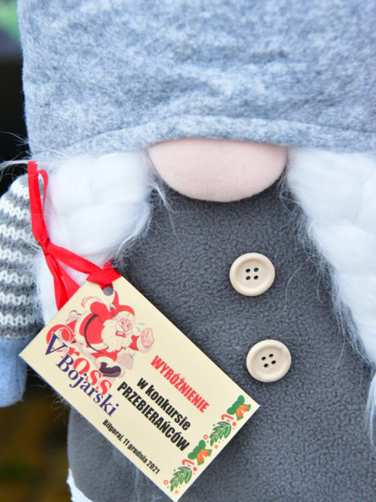 Rekreacyjny Bieg Mikołajkowy oraz V Cross Bojarski (FOTO)