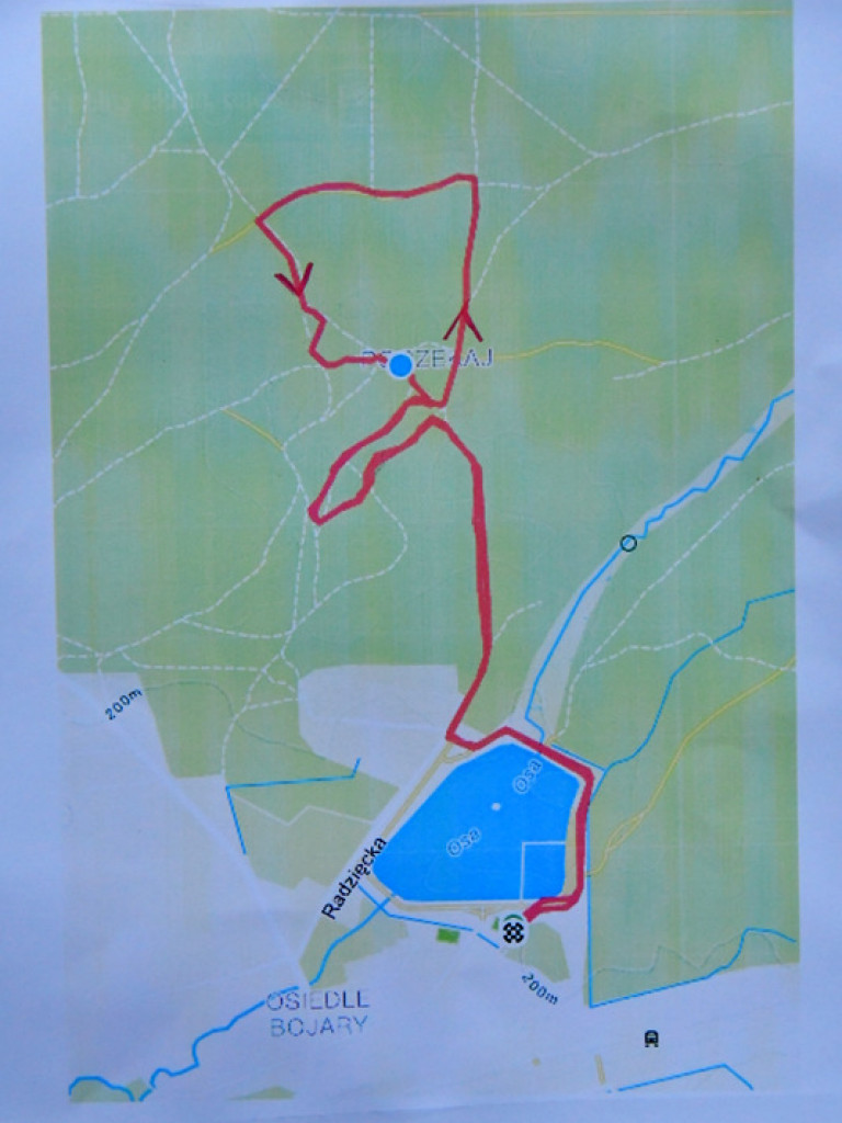 Rekreacyjny Bieg Mikołajkowy oraz V Cross Bojarski (FOTO)