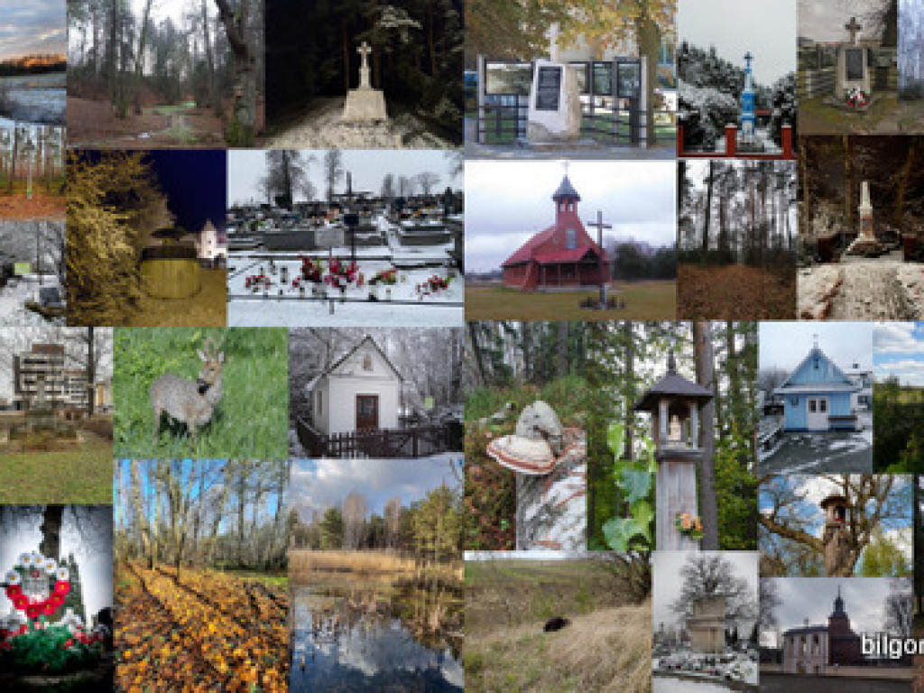 XXXII Powiatowy Konkurs o Ziemi Biłgorajskiej - Ziemia Biłgorajska w Obiektywie (WYNIKI, FOTO)