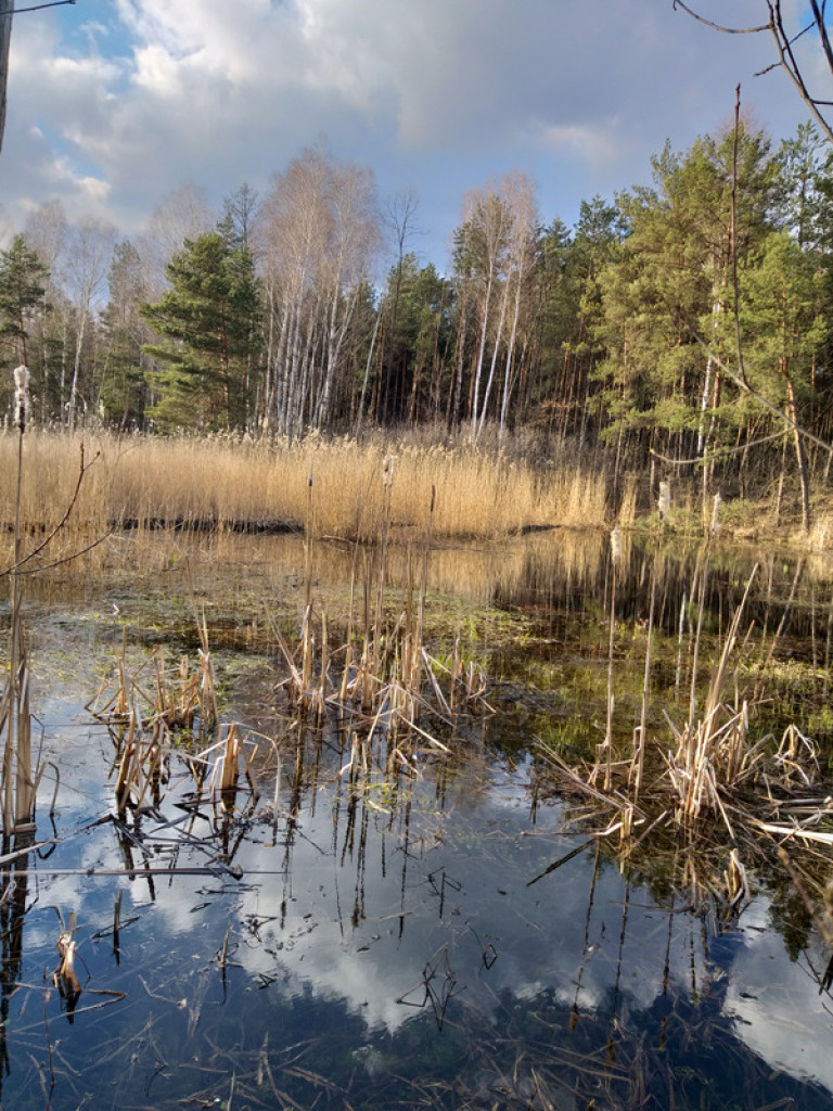 XXXII Powiatowy Konkurs o Ziemi Biłgorajskiej - Ziemia Biłgorajska w Obiektywie (WYNIKI, FOTO)