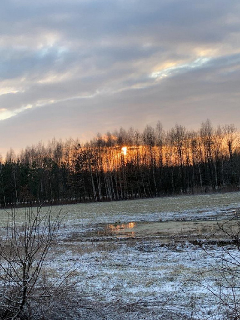 XXXII Powiatowy Konkurs o Ziemi Biłgorajskiej - Ziemia Biłgorajska w Obiektywie (WYNIKI, FOTO)