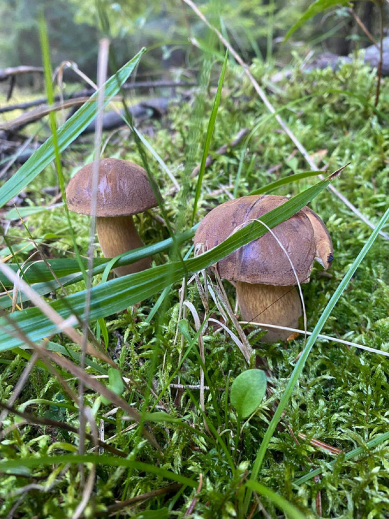 XXXII Powiatowy Konkurs o Ziemi Biłgorajskiej - Ziemia Biłgorajska w Obiektywie (WYNIKI, FOTO)