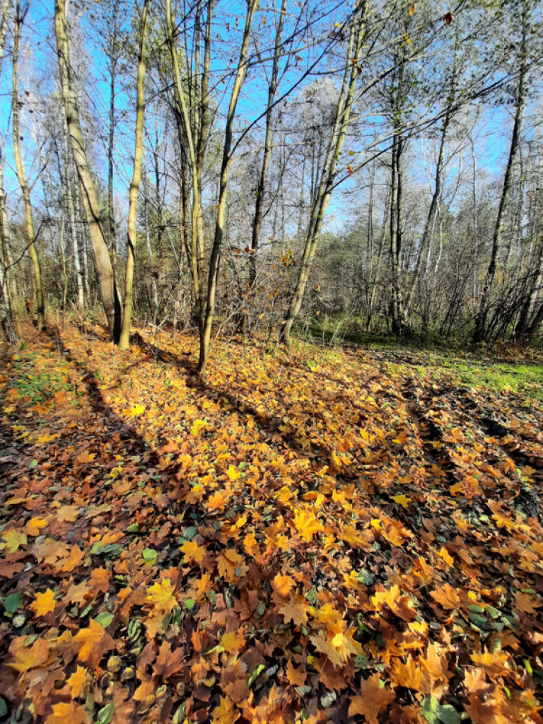 XXXII Powiatowy Konkurs o Ziemi Biłgorajskiej - Ziemia Biłgorajska w Obiektywie (WYNIKI, FOTO)