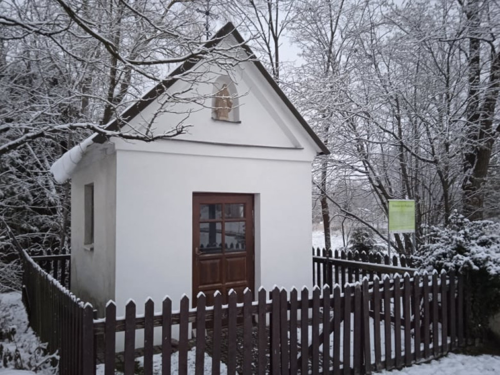 XXXII Powiatowy Konkurs o Ziemi Biłgorajskiej - Ziemia Biłgorajska w Obiektywie (WYNIKI, FOTO)