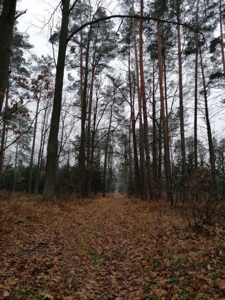 XXXII Powiatowy Konkurs o Ziemi Biłgorajskiej - Ziemia Biłgorajska w Obiektywie (WYNIKI, FOTO)