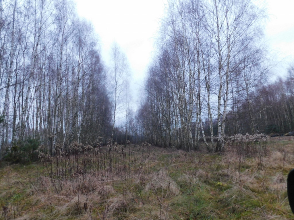 XXXII Powiatowy Konkurs o Ziemi Biłgorajskiej - Ziemia Biłgorajska w Obiektywie (WYNIKI, FOTO)