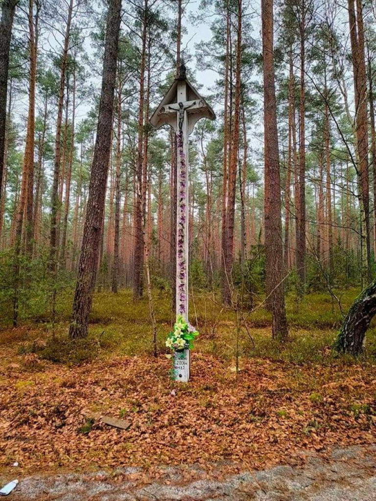 XXXII Powiatowy Konkurs o Ziemi Biłgorajskiej - Ziemia Biłgorajska w Obiektywie (WYNIKI, FOTO)