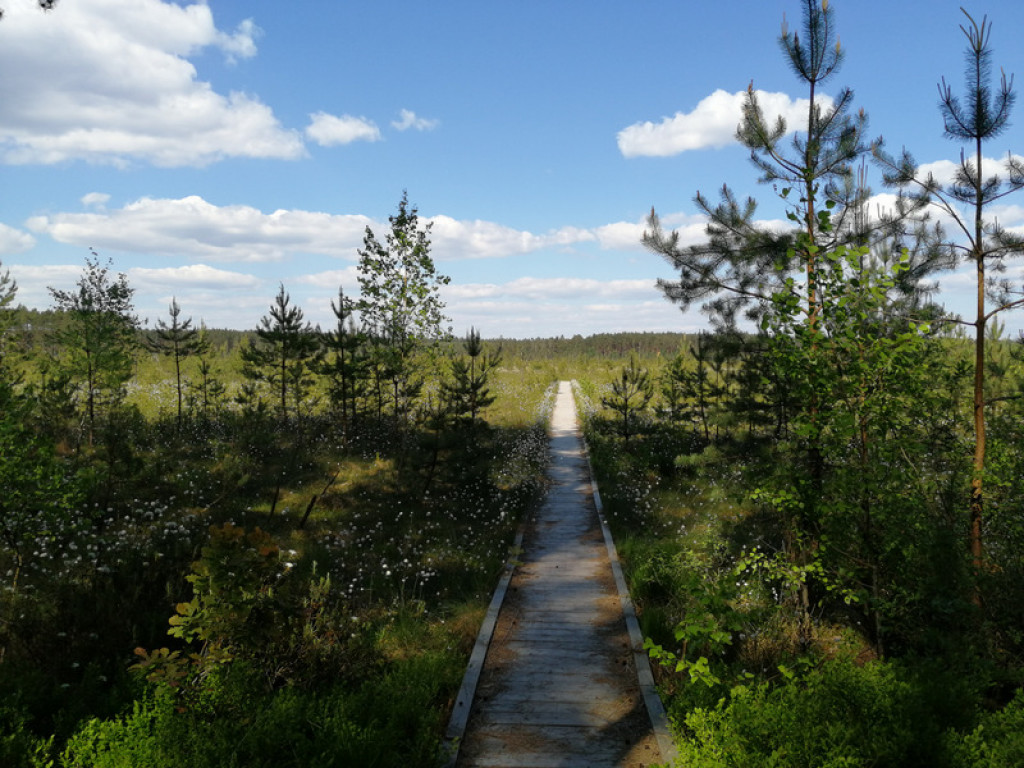 XXXII Powiatowy Konkurs o Ziemi Biłgorajskiej - Ziemia Biłgorajska w Obiektywie (WYNIKI, FOTO)