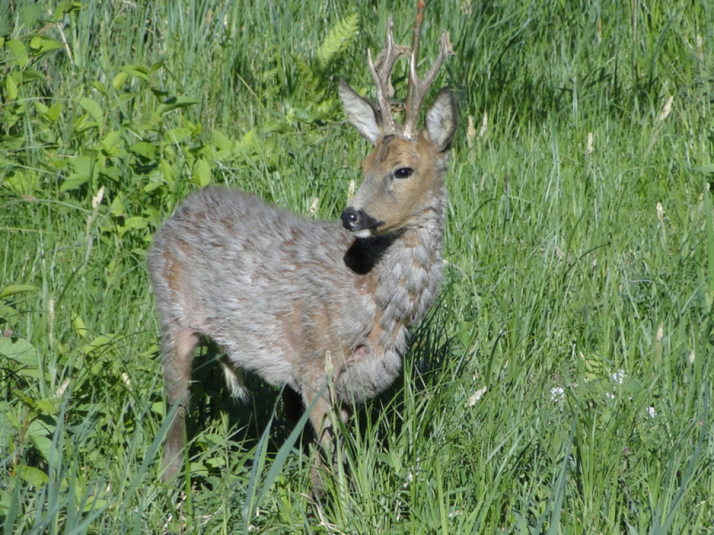 XXXII Powiatowy Konkurs o Ziemi Biłgorajskiej - Ziemia Biłgorajska w Obiektywie (WYNIKI, FOTO)
