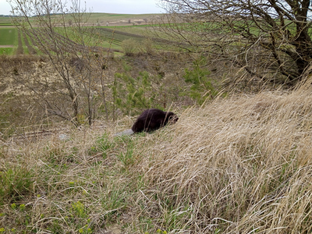 XXXII Powiatowy Konkurs o Ziemi Biłgorajskiej - Ziemia Biłgorajska w Obiektywie (WYNIKI, FOTO)