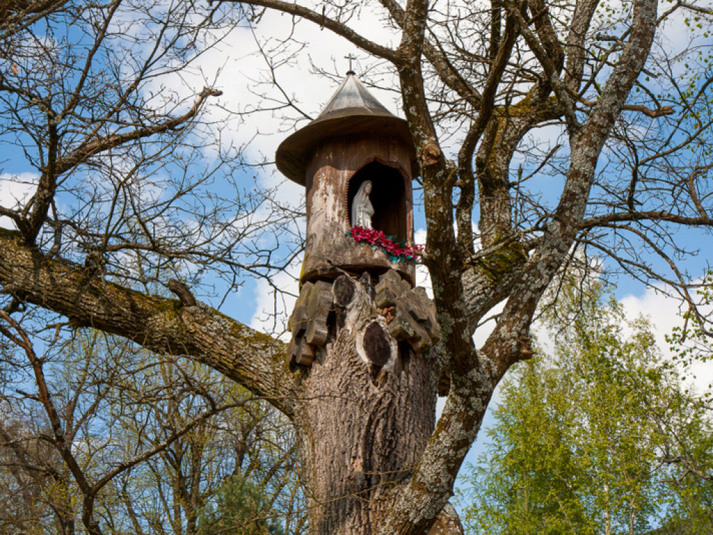 XXXII Powiatowy Konkurs o Ziemi Biłgorajskiej - Ziemia Biłgorajska w Obiektywie (WYNIKI, FOTO)