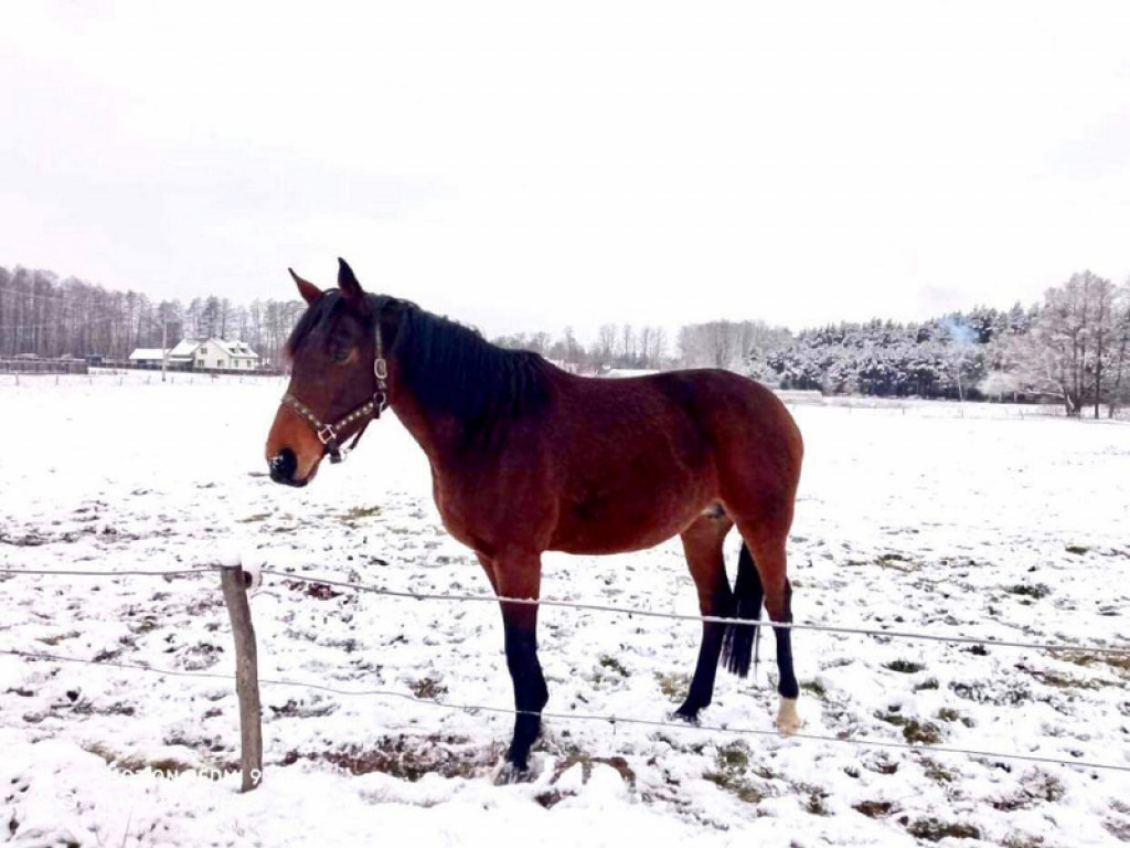 XXXII Powiatowy Konkurs o Ziemi Biłgorajskiej - Ziemia Biłgorajska w Obiektywie (WYNIKI, FOTO)