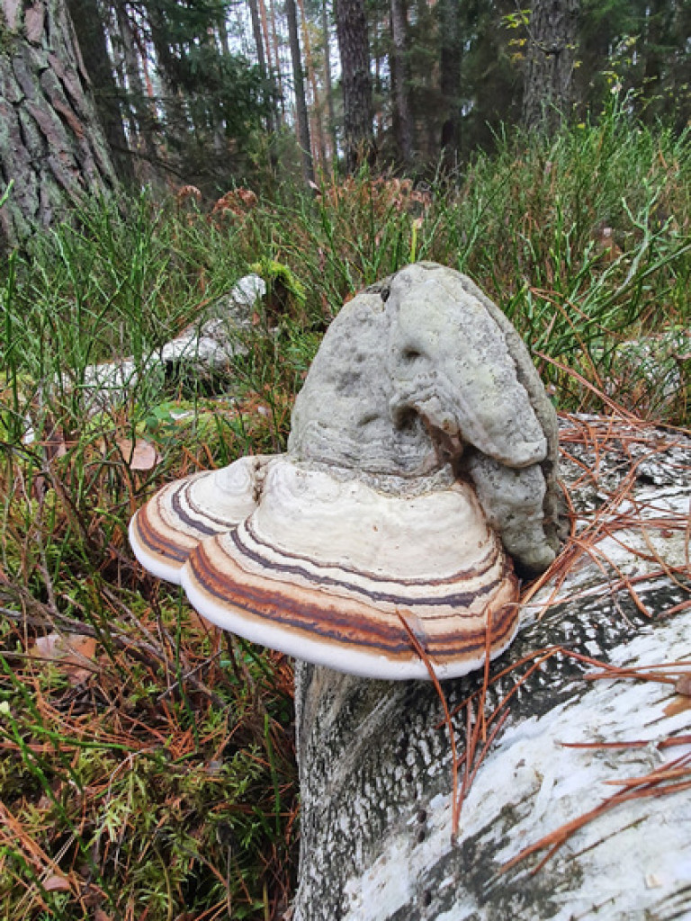 XXXII Powiatowy Konkurs o Ziemi Biłgorajskiej - Ziemia Biłgorajska w Obiektywie (WYNIKI, FOTO)