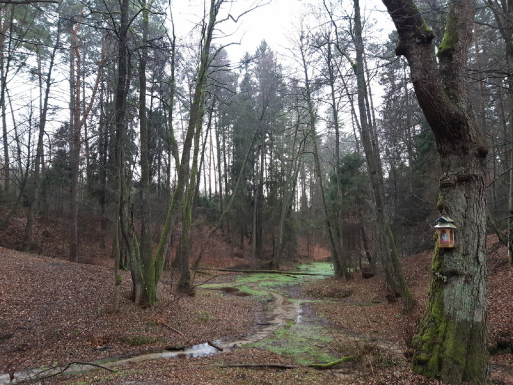 XXXII Powiatowy Konkurs o Ziemi Biłgorajskiej - Ziemia Biłgorajska w Obiektywie (WYNIKI, FOTO)