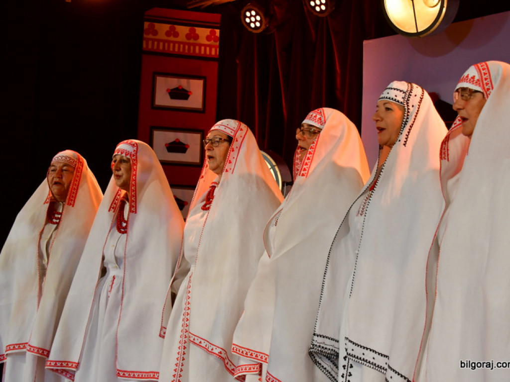 Podsumowanie II Wojewódzkiej Akcji Lubelszczyzna dunajuje z TVP Lublin (FOTO)