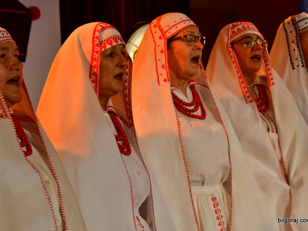 Podsumowanie II Wojewódzkiej Akcji Lubelszczyzna dunajuje z TVP Lublin (FOTO)