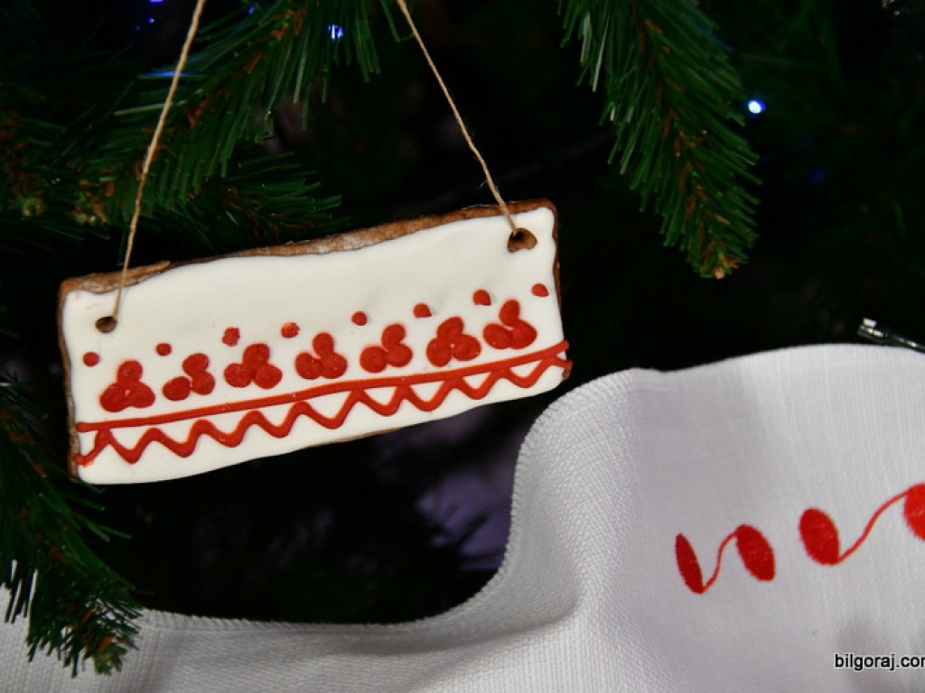 Podsumowanie II Wojewódzkiej Akcji Lubelszczyzna dunajuje z TVP Lublin (FOTO)