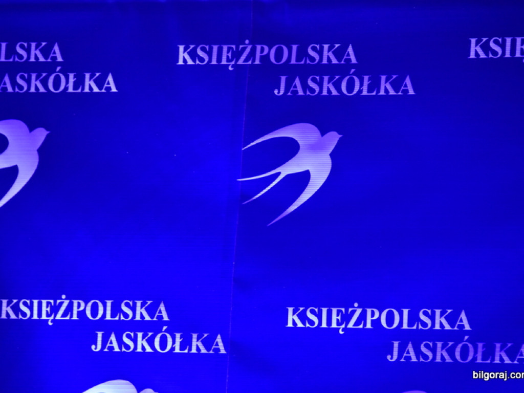 Księżpolskie jaskółki czyli wyróżnienia dla działaczy społecznych (FOTO, LISTA)